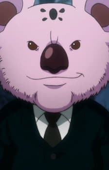 Koala