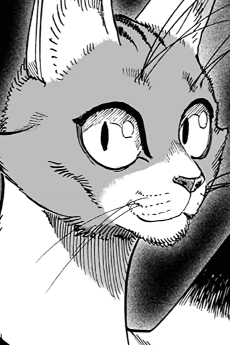 Nyan