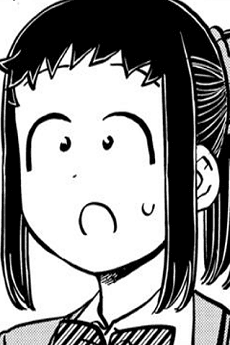 Saki Tsuzurafuji