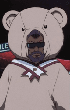 Teddy Bomber