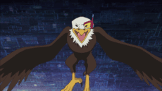 Eagle