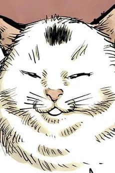 Nyaako