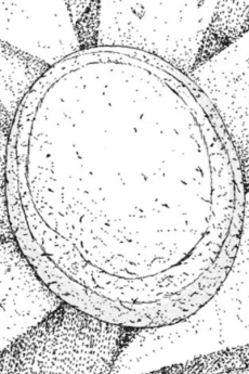 Ishikoro