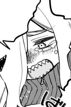 Franken Dessucy