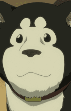 Black Hayate