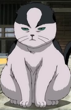 Houichi